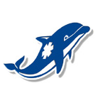 Les Dauphins Carrossier ambulances